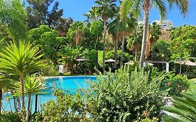 El Olive - Calanova Grand Golf